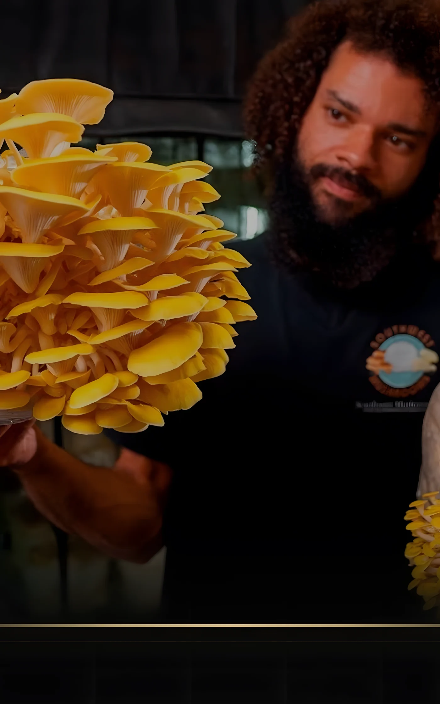 Oyster grown on the Southwest Mushrooms production floor